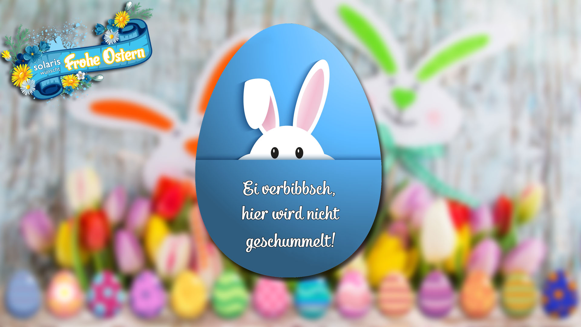Bild00